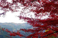 2025111402802-1.jpg (166261 oCg)