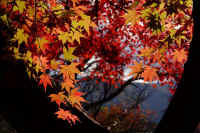 2025111402806-1.jpg (118404 oCg)