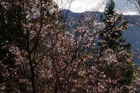 2025111402815-1.jpg (173737 oCg)