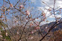 2025111402817-1.jpg (141460 oCg)