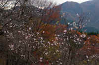 2025111402834-1.jpg (136325 oCg)