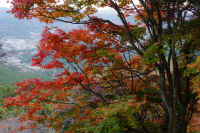 2025111402841-1.jpg (157939 oCg)