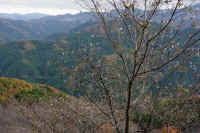 2025111402843-1.jpg (136239 oCg)