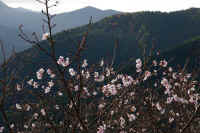 2025111402855-1.jpg (112512 oCg)