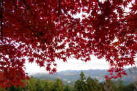 2025111402857-1.jpg (162186 oCg)