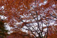 2025111402859-1.jpg (204376 oCg)