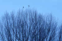 2026011109427.jpg (122545 �o�C�g)