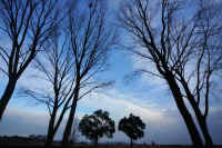 2026011109453.jpg (123102 �o�C�g)