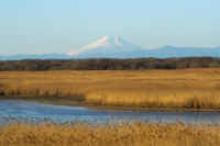 2026013109505-1.jpg (70725 �o�C�g)