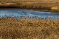 2026013109506.jpg (137459 �o�C�g)