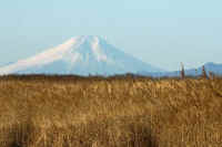 2026013109511-1.jpg (74150 �o�C�g)