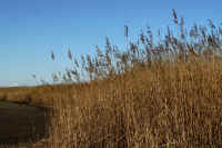 2026013109516.jpg (116216 �o�C�g)