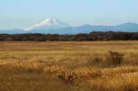 2026013109519-1.jpg (75638 �o�C�g)