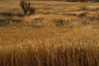 2026013109526.jpg (128058 �o�C�g)