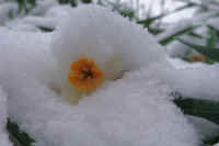 2026020803849-1.jpg (48666 �o�C�g)