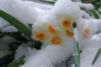 2026020803850-1.jpg (54314 �o�C�g)