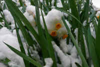 2026020803862-1.jpg (83548 �o�C�g)