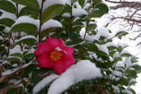 2026020803866-1.jpg (90279 �o�C�g)