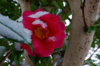 2026020803867.jpg (65713 �o�C�g)