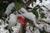 2026020803869-1.jpg (74184 �o�C�g)