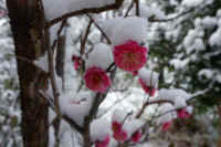 2026020803870-1.jpg (67877 �o�C�g)