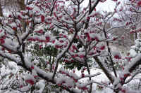 2026020803872-1.jpg (158948 �o�C�g)