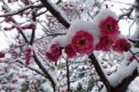 2026020803874-1.jpg (85414 �o�C�g)