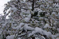 2026020803877.jpg (128857 �o�C�g)