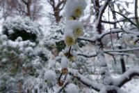 2026020803880-1.jpg (79539 �o�C�g)