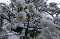 2026020803882-1.jpg (76936 �o�C�g)