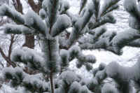 2026020803884-1.jpg (107379 �o�C�g)