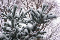 2026020803887-1.jpg (156068 �o�C�g)