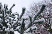 2026020803889-1.jpg (115848 �o�C�g)