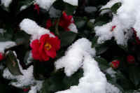 2026020803901-1.jpg (74437 �o�C�g)