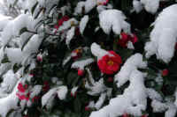 2026020803904-1.jpg (85986 �o�C�g)