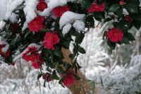 2026020803905-1.jpg (85329 �o�C�g)