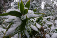 2026020803913-1.jpg (92864 �o�C�g)