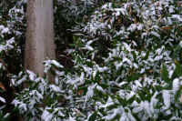 2026020803914-1.jpg (142236 �o�C�g)