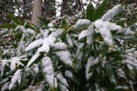 2026020803915-1.jpg (258790 �o�C�g)