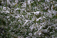 2026020803919-1_edited-1.jpg (147991 �o�C�g)