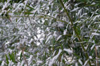 2026020803921-1.jpg (119107 �o�C�g)