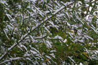 2026020803923-1.jpg (141883 �o�C�g)