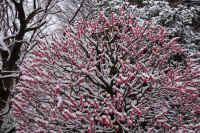 2026020803926-1.jpg (187116 �o�C�g)