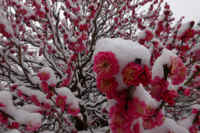 2026020803928-1.jpg (98524 �o�C�g)