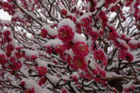 2026020803935-1.jpg (104307 �o�C�g)