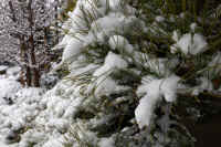 2026020803937-1.jpg (120164 �o�C�g)