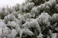 2026020803939-1.jpg (104844 �o�C�g)