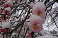 2026020803945-1.jpg (81973 �o�C�g)