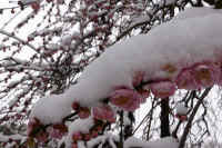 2026020803947-1-1.jpg (97699 �o�C�g)