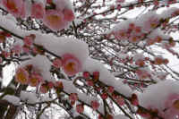 2026020803949-1.jpg (102003 �o�C�g)